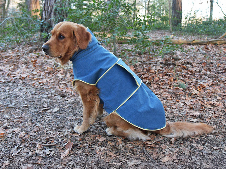 Hundejacke Alma - PDF Schnittmuster & Nähanleitung mit Video
