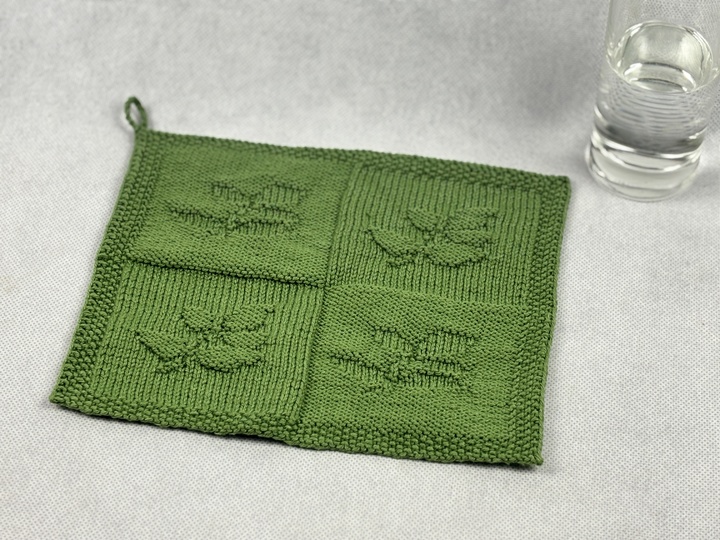 Waschlappen Zweig - Gesundheit – Eine Strickanleitung