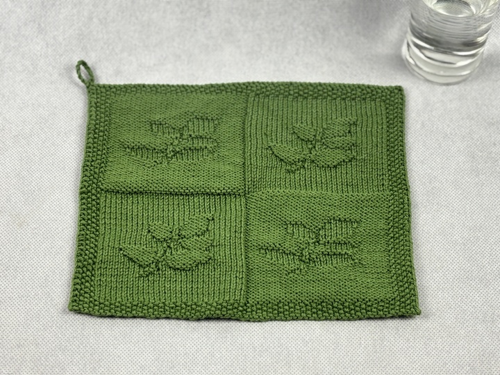 Washcloth Branch - Health – Knitting Instructions