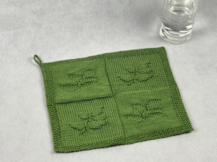 Washcloth Branch - Health – Knitting Instructions