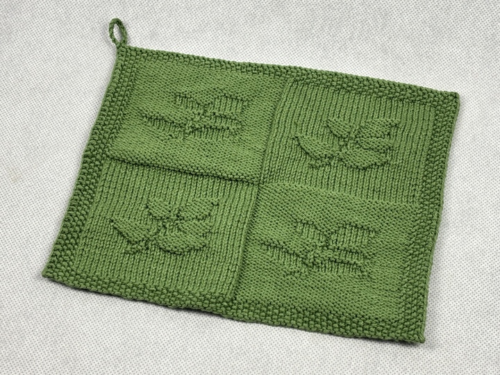 Washcloth Branch - Health – Knitting Instructions