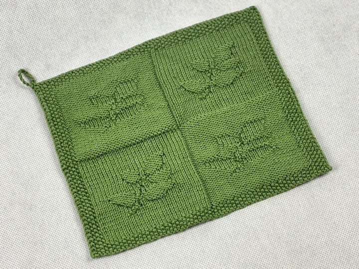 Washcloth Branch - Health – Knitting Instructions