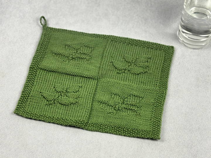 Washcloth Branch - Health – Knitting Instructions