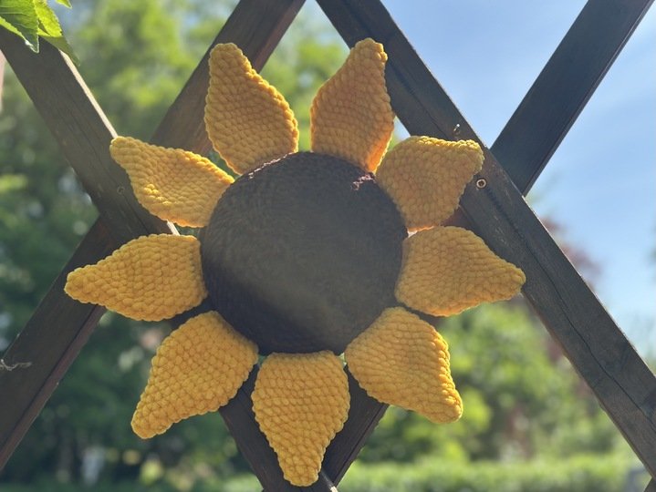 Kostenlose Häkelanleitung für eine kuschelige Sonnenblume
