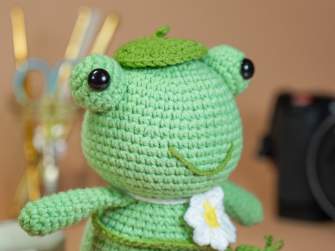 Green frog and strawberry pattern PDF