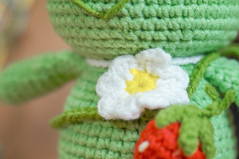 Green frog and strawberry pattern PDF