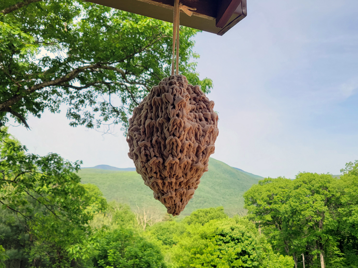 Wasp Nest Decoy Pattern For Knitters