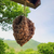 Wasp Nest Decoy Pattern For Knitters