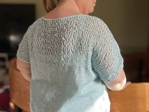 Sally Top