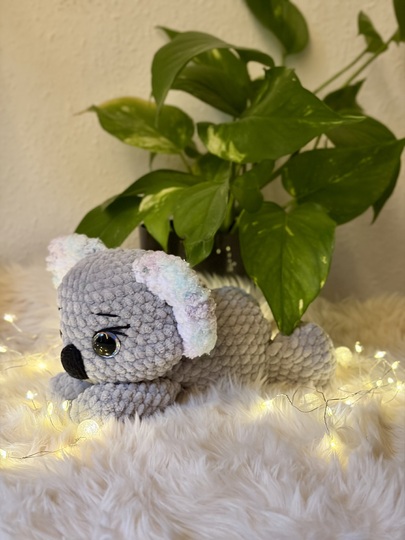 Nalu der kleine Koala