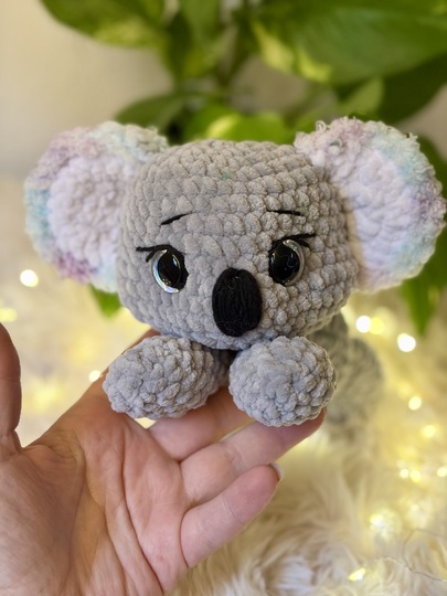 Nalu der kleine Koala
