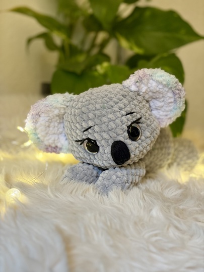 Nalu der kleine Koala