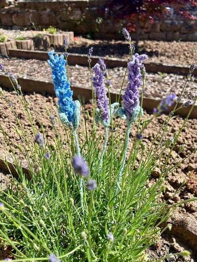Häkelanleitung für Lavendel – PDF-Datei für ein schnelles Häkelprojekt