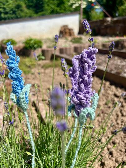 Häkelanleitung für Lavendel – PDF-Datei für ein schnelles Häkelprojekt