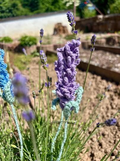 Häkelanleitung für Lavendel – PDF-Datei für ein schnelles Häkelprojekt