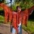 Strickanleitung | Tuch MIA | Zackentuch mit 5 Spitzen | Sternentuch