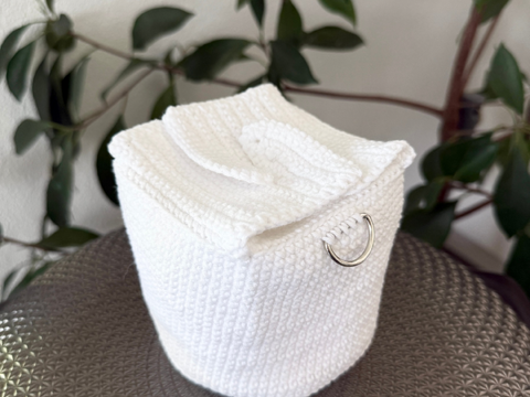 Take-Away Box Bag