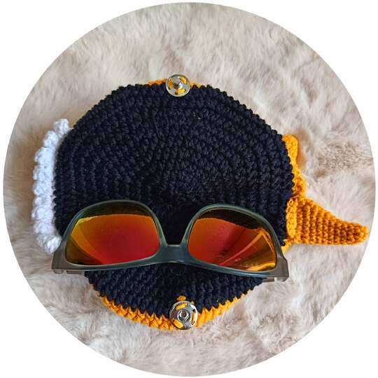 Brillenetui für die Sonnenbrille HAI