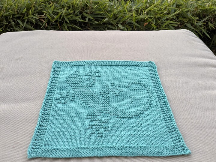 Strickanleitung Spültuch / Waschlappen "Kleiner Gecko" - ganz einfach