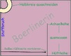 Slide 3 von 4