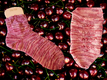 Slide 7 von 8