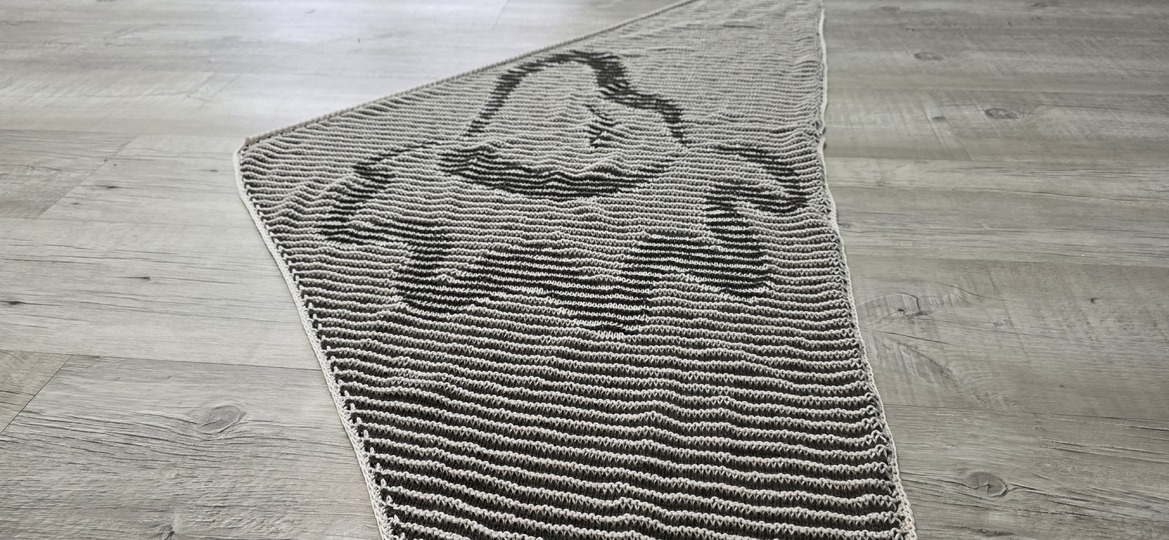 Lion, Shadow Knitting, Illusion Knitting, Motif Shawl