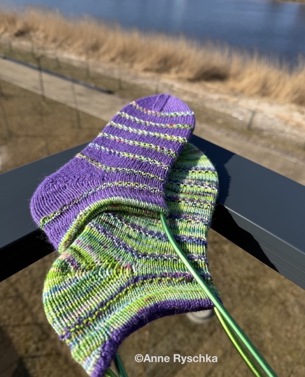 Sneakersocken Pylos