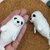 Baby Seal - no sew crochet pattern by NiggyArts