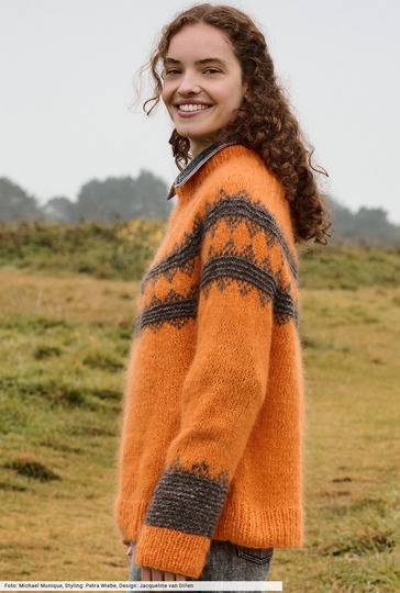 Pulli mit Rundpasse