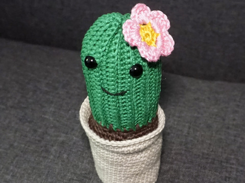 Crochet Pattern: Cactus  in bloom