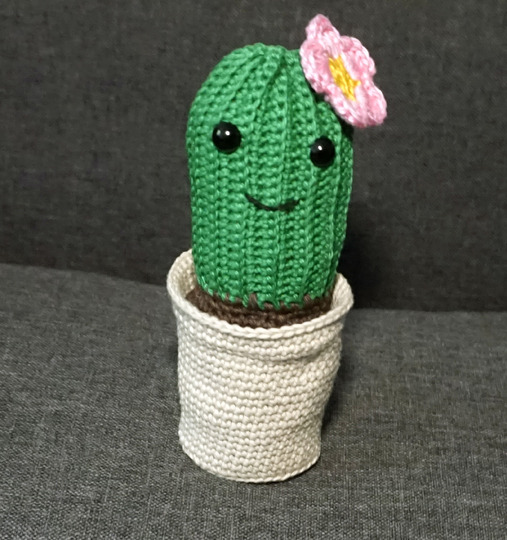 Crochet Pattern: Cactus  in bloom