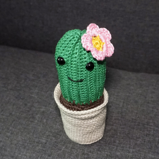 Häkelanleitung für den Kaktus mit Blüte