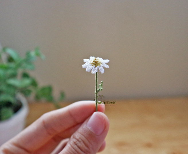 Crochet Miniature Daisy Pattern