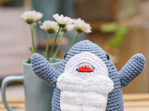 Shark Gymgoer PDF pattern