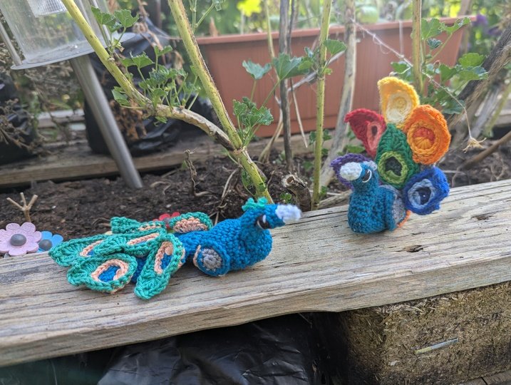 Pfau
