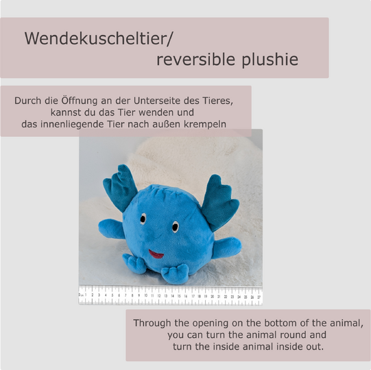 Krempeltierseite Axolotl (Anfänger)