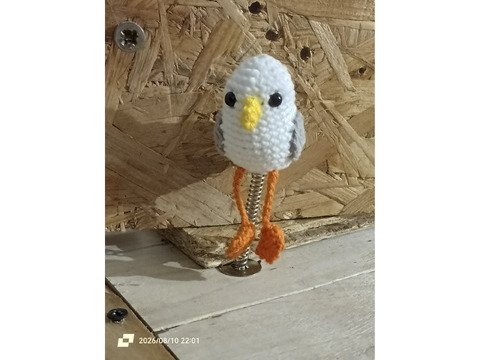 Kleine freche Möwe