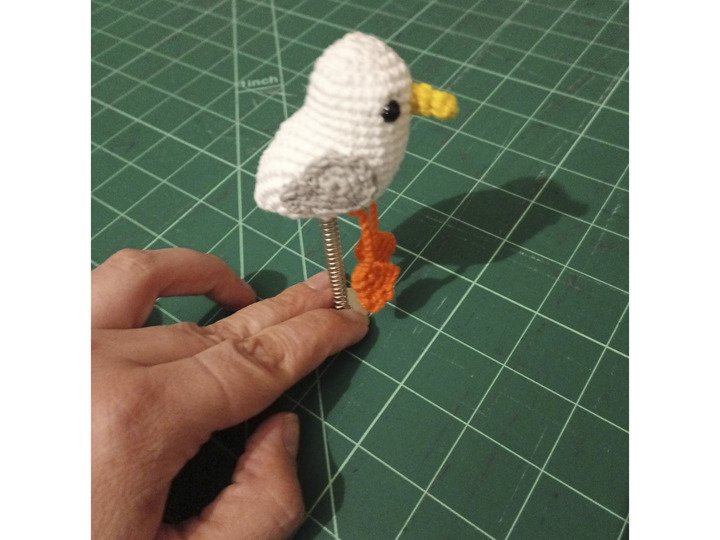 Kleine freche Möwe