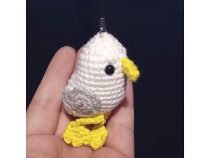 Kleine freche Möwe