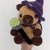 Capybara Halloween & Summer Edition Crochet Pattern PDF English and German