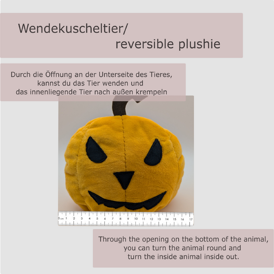 Krempeltierseite Kürbis - Level 1