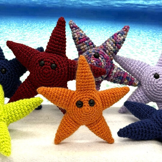 Sunny the Starfish
