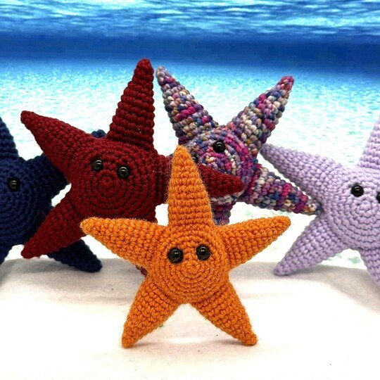 Sunny the Starfish