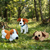 Hunde-Set häkeln – Jack Russel, Mops und Beagle als Amigurumi (DE & EN)