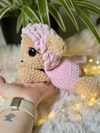 Molly das kleine Schaf