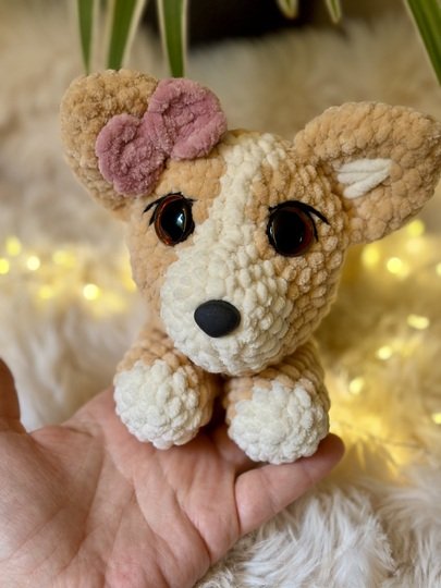 Codi der Corgi