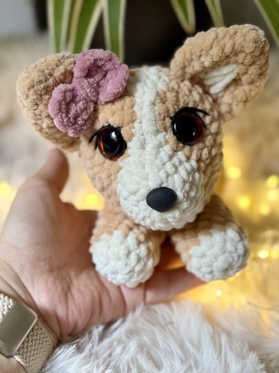 Codi der Corgi