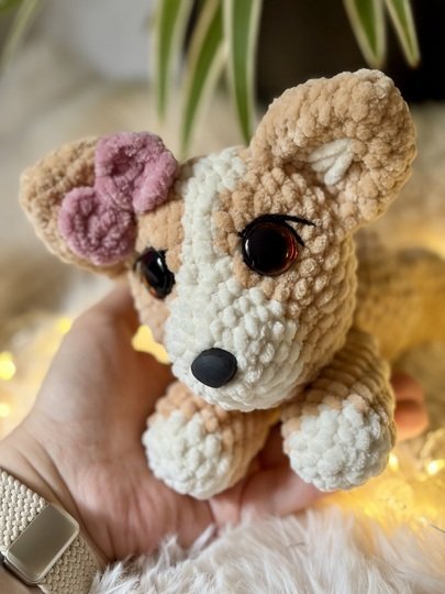 Codi der Corgi