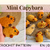 Häkelanleitung Mini Capybara – schnell & einfach, No Sew