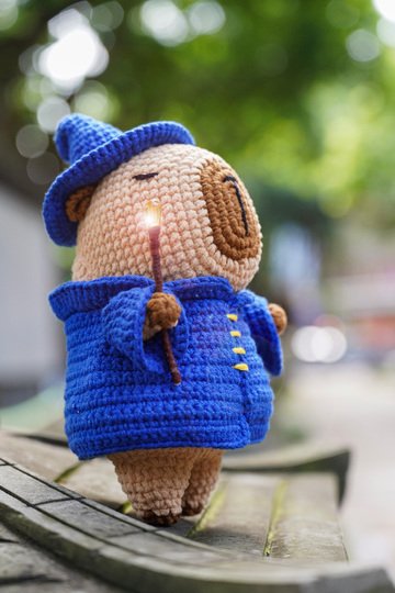 capybara wizard patten PDF